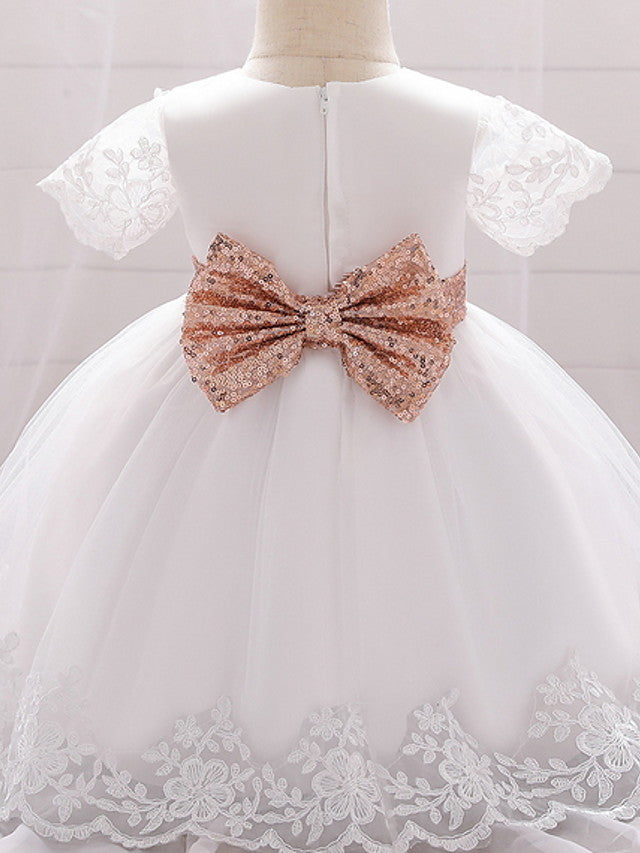 Sleeveless Jewel Neck Lace Ball Gown for Weddings and Parties