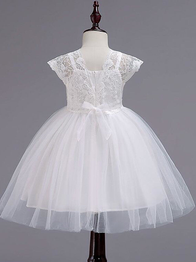 Cap Sleeve Square Neck Flower Girl Dress with Lace Tulle Cotton and Lace Belt