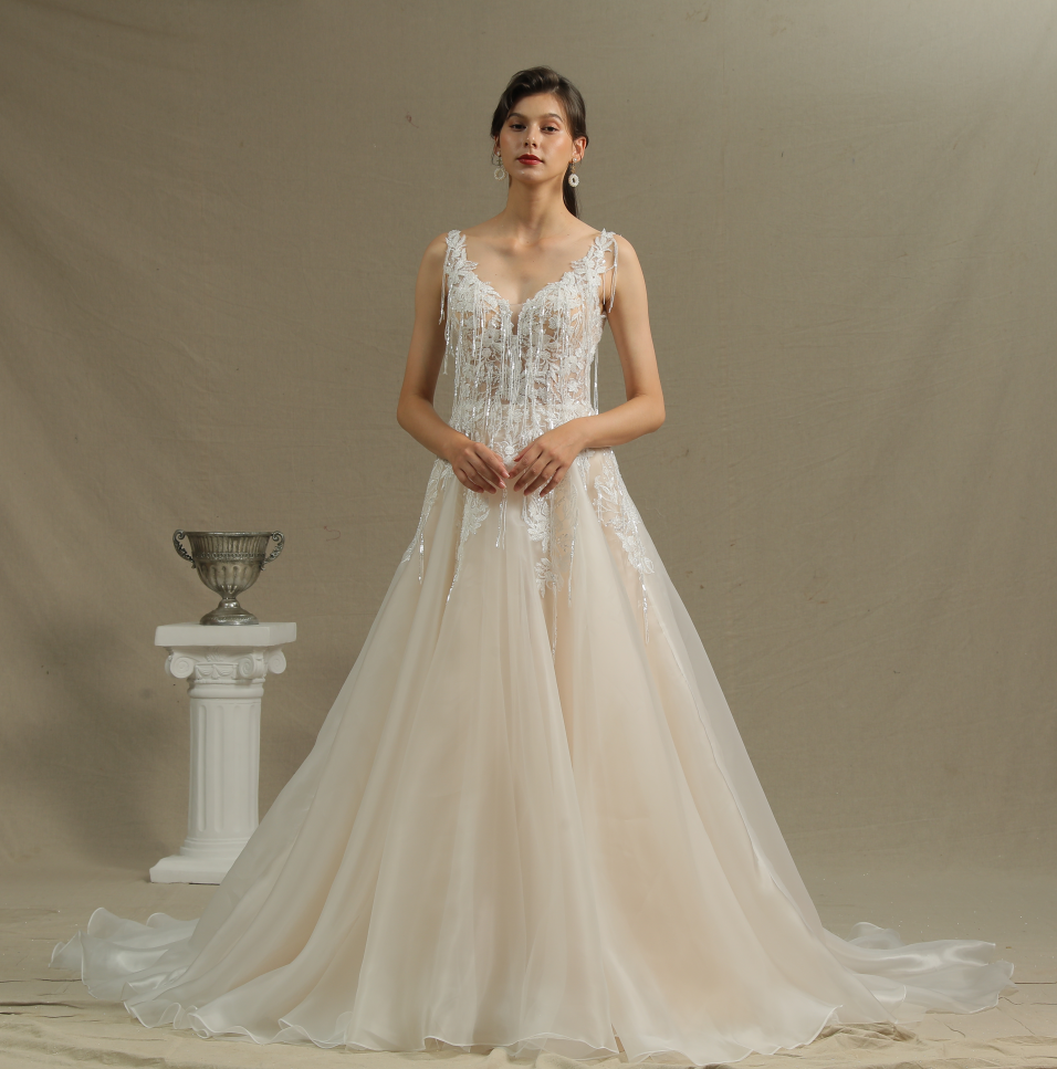 V-Neck Straps A-Line Backless Wedding Dress with Appliques